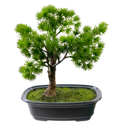 Konstgjort bonsai