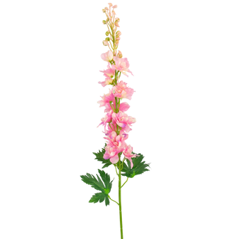 Konst Delphinium