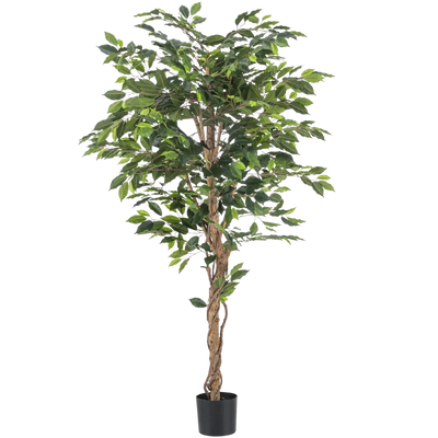 Konstgjord ficus
