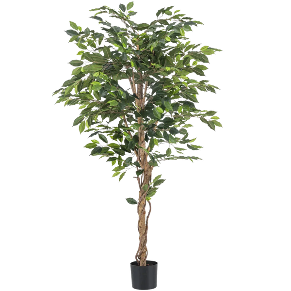Konstgjord ficus