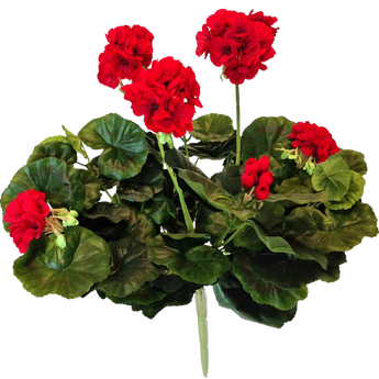 Konst Geranium