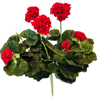 Konst Geranium