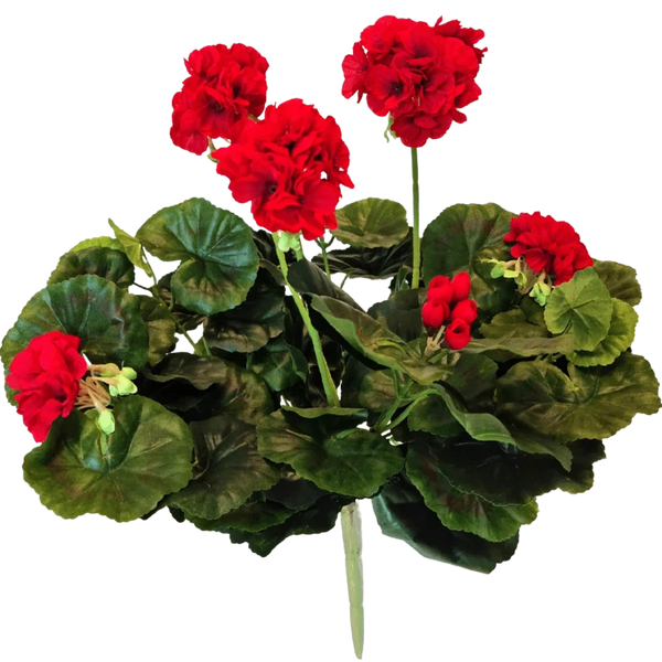 Konst Geranium