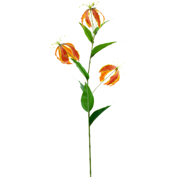 Konst Gloriosa
