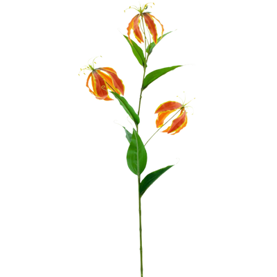 Konst Gloriosa
