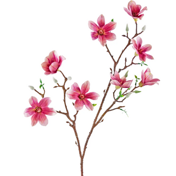 Konst Magnolia