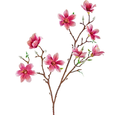 Konst Magnolia