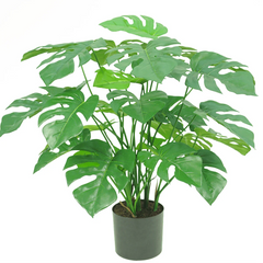 Konst Monstera & Philo