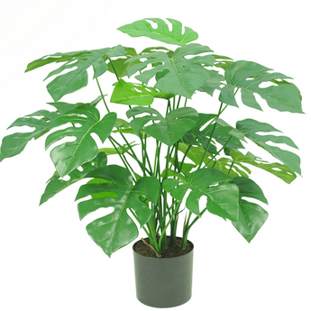 Konst Monstera & Philo