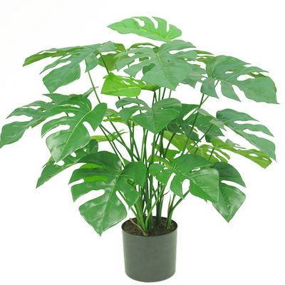 Konst Monstera & Philo