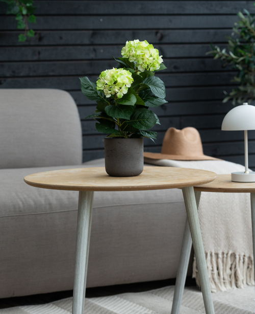 Den konstgjorda hortensiagrön UV 35 cm-växten står på ett träbord framför en grå soffa, ackompanjerad av en beige hatt och vit lampa, med en mörk trävägg i bakgrunden.