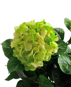 Konstgjord hortensia 43 cm grön