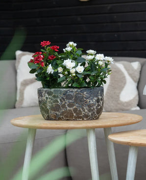 En Artificiell Plant Patio Rose 35 cm kräm UV står på ett runt träbord framför en beige soffa med mönstrade kuddar.
