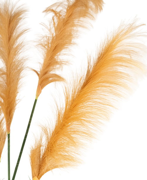 Tre guldorange konstgjorda Pampas Grass 150 cm brandskyddande stjälkar visar fjäderlätta plymer mot en vit bakgrund. Mjuka, delikata texturer förstärks vackert av belysningen.