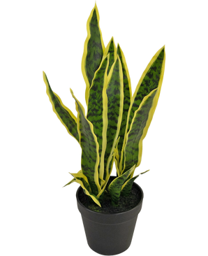 Konstgjord växt Sansevieria Laurentii 44 cm i prydnadskruka