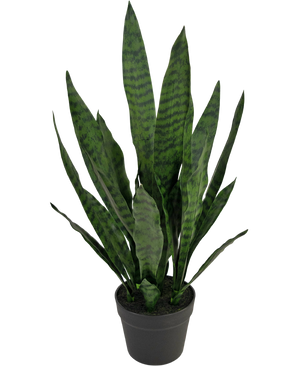 Konstgjord växt Sansevieria Zeylanica 71 cm