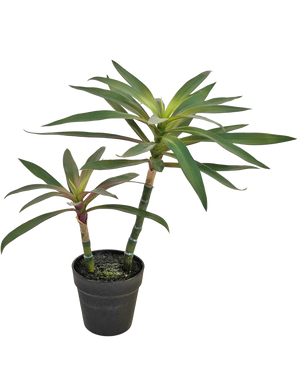 Konstgjord växt Yucca gigantea 53 cm