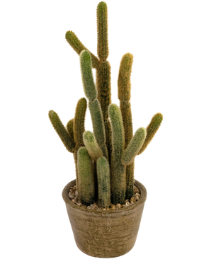 Konstgjord kaktus Cereus 35 cm