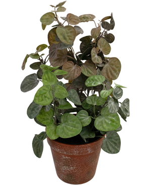 Konstgjord växt Peperomia 35 cm