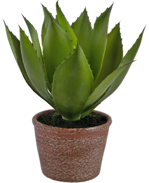 Konstgjord växt Agave 25 cm