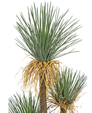 Konstgjord växt Yucca deluxe 182 cm