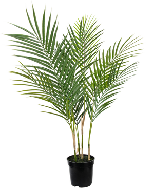 Konstgjord palm Chamaedorea 71 cm