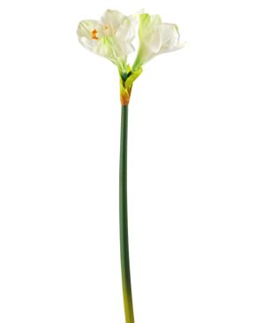 Konstgjord blomma Amaryllis vit 66 cm