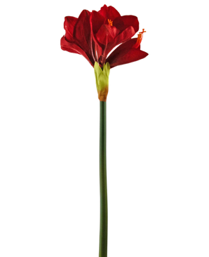 Konstgjord blomma Amaryllis röd 66 cm