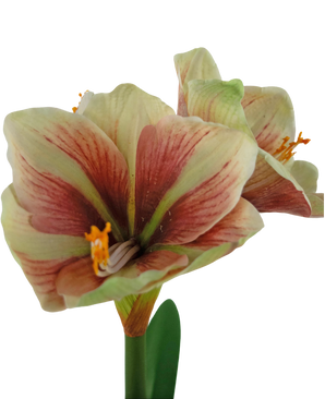 Konstgjord blomma Amaryllis Röd/Gul 48 cm