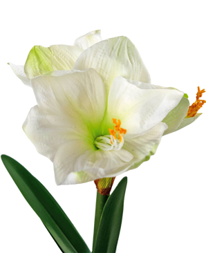 Konstgjord blomma Amaryllis vit 48 cm