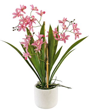 Konstgjord växt Mini Cymbidium Real Touch 45 cm rosa