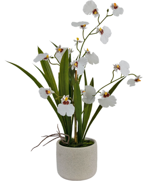 Konstgjord Oncidium Real Touch 48 cm vit