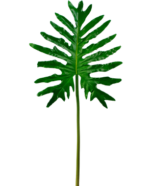 Konstgjord Philodendron 90cm