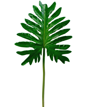 Konstgjord Philodendron 68cm