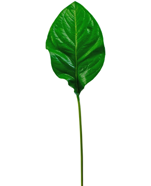 Konstgjort blad grön 90cm