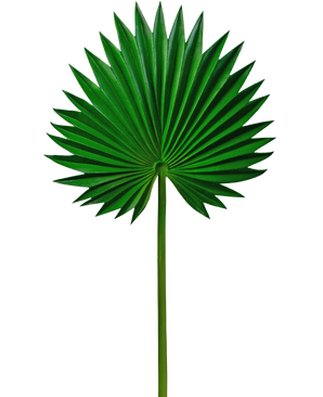 Konstgjort blad Washingtonia 73cm