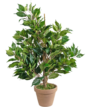 Konstgjord växt Ficus 60 cm en i kruka