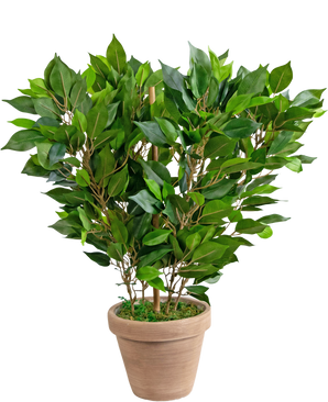 Konstgjord växt  Mini Ficus 45 cm en i kruka