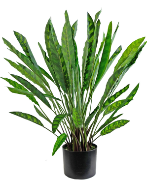 Konstgjord växt Calathea 60 cm