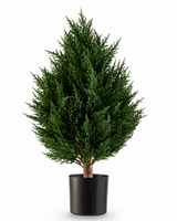Artificiell växt Conifer Deluxe UV 60 cm från Easyplants är en kompakt, buskig konstgjord växt med vintergrönt blad och rikt grönt blad, presenterad i en svart kruka mot en vit bakgrund. Detta gör den till ett utmärkt val bland konstgjorda utomhusväxter och ger utan ansträngning livfull grönska i alla miljöer.