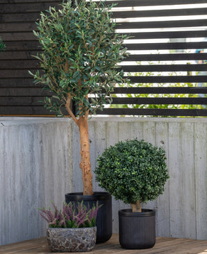 Drie potplanten staan buiten opgesteld: een Kunst olijfboom UV 155 cm met een slanke stam, een ronde struik en een kleine pot met paarse heide, allemaal tegen een betonnen muur en een hek van houten latten.