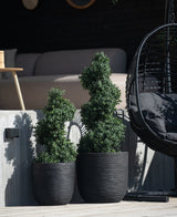 Två konstgjorda buxbomsspiraler i romersk stil UV 90 cm topiary växter med spiralblad står på en betong uteplats bredvid en svart hängande stol och en modern utomhussoffa i bakgrunden.