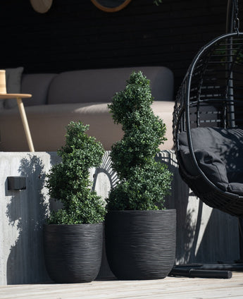 Två konstgjorda buxbomsspiraler i romersk stil UV 90 cm topiary växter med spiralblad står på en betong uteplats bredvid en svart hängande stol och en modern utomhussoffa i bakgrunden.