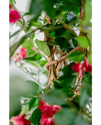 Bougainvillea konstgjord växt Liana Fuchsia 115 cm