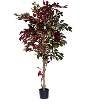 Brandhämmande konstgjord växt Ficus grön/röd 180 cm