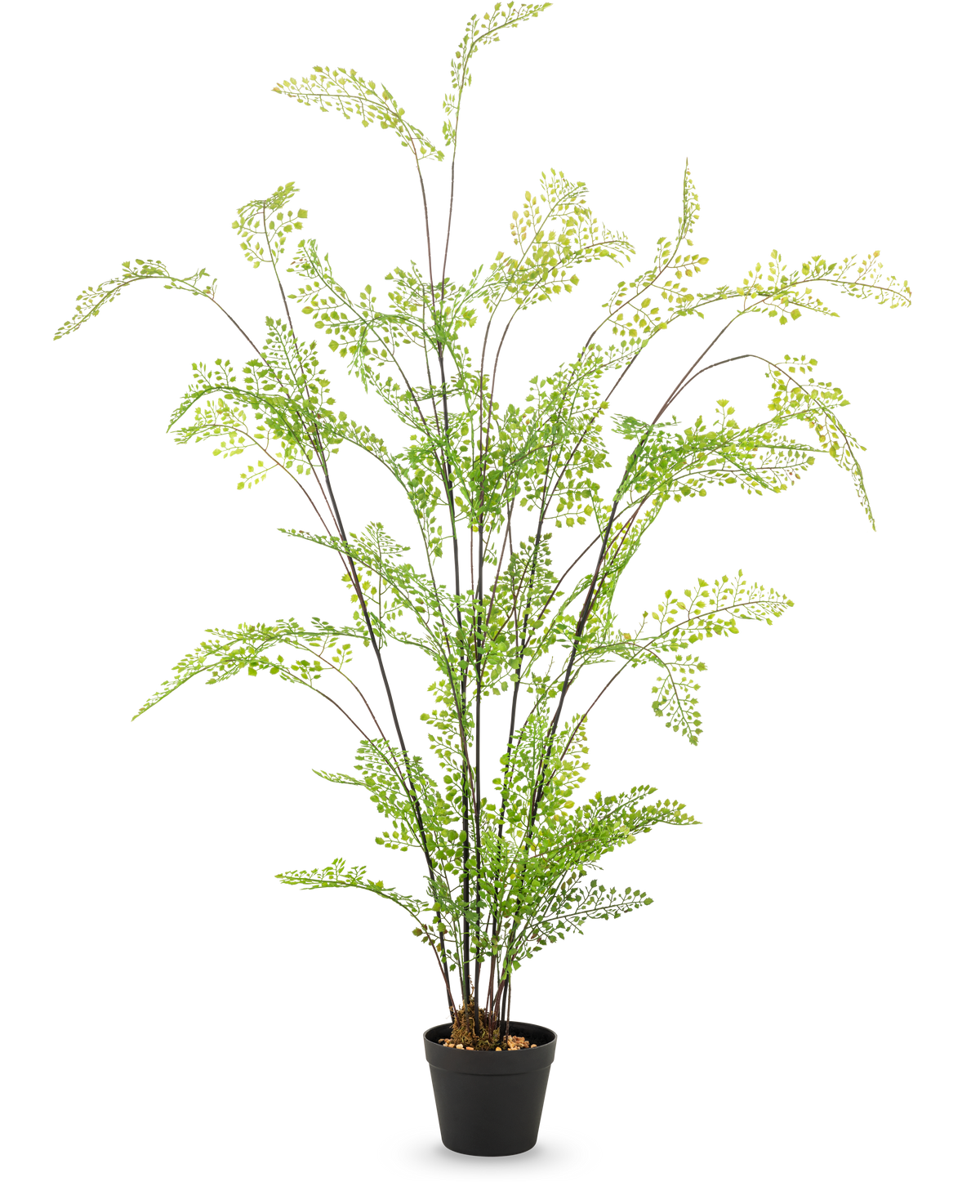 Den 120 cm stora konstgjorda ormbunken har långa, smala stjälkar och små fina gröna blad, som är elegant arrangerade i en kruka mot en vanlig vit bakgrund - en idealisk lättskött krukväxt för din inredning.