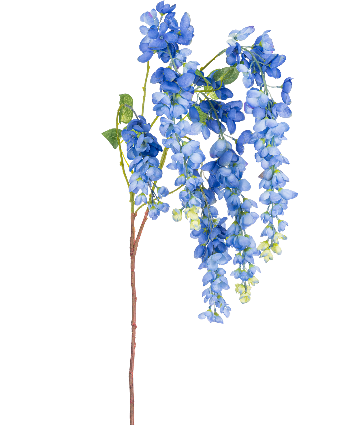 En enda 115 cm konstgjord blåregnsstam med livfulla blåregnsblommor och gröna blad på en lång, smal brun stjälk, isolerad på en vit bakgrund.