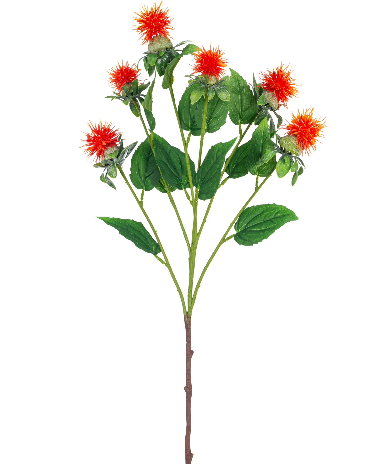 Den konstgjorda blomma safflor 79 cm orange har en enda stjälk med flera grenar, var och en med striga orangeröda och gula blommor med gröna blad, mot en vit bakgrund.