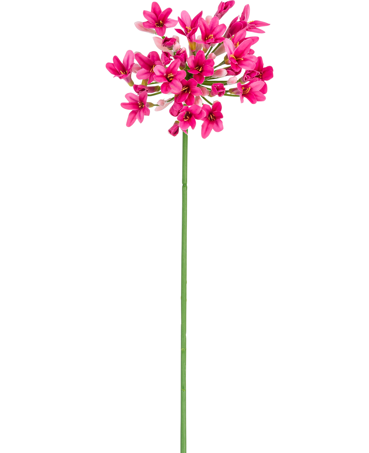 Den konstgjorda blomman Agapanthus 77 cm rosa har en enda grön stjälk med flera klasar av ljust rosa blommor, var och en med flera kronblad, mot en vanlig vit bakgrund.