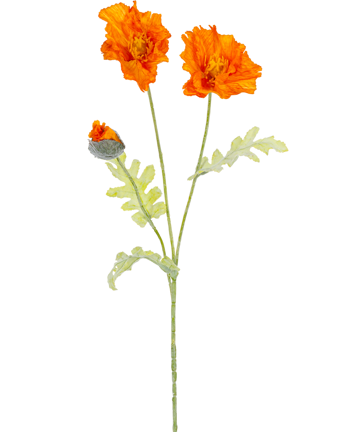 En botanisk illustration av konstgjorda blomvallmo 73 cm orange visar två öppna orange blommor och en sluten knopp på långa gröna stjälkar med ljusgröna, djupt flikiga blad.